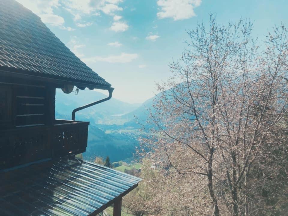 Bauernhof Oberfriessnig Villa Radenthein Ngoại thất bức ảnh